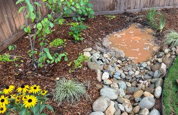 Walt's Landscaping and Lighting project