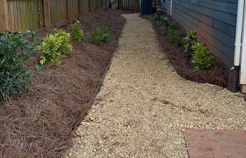 Walt's landscaping and lighting project