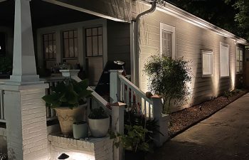 Walt's landscaping and lighting project