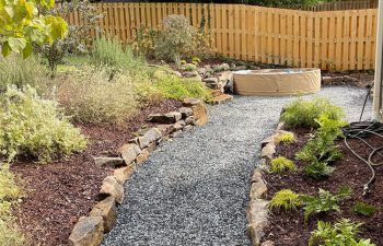 Walt's landscaping and lighting project