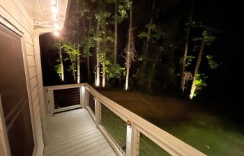 Walt's landscaping and lighting project