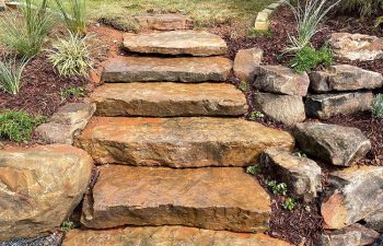 Walt's landscaping and lighting project