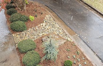 Walt's landscaping and lighting project