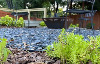 Walt's landscaping and lighting project