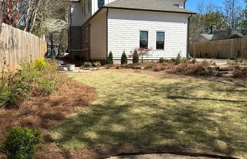 Walt's landscaping and lighting project