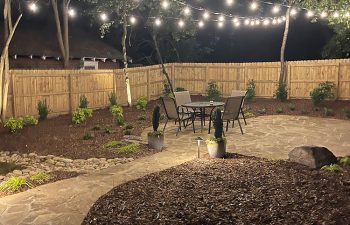 Walt's landscaping and lighting project