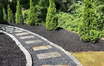 Walt's landscaping and lighting project