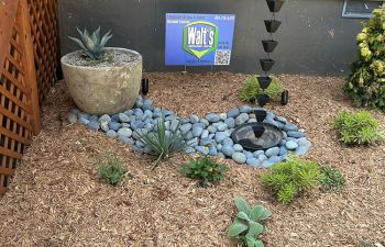 Walt's landscaping and lighting project