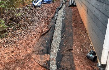 Walt's landscaping and lighting project