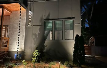 Walt's landscaping and lighting project