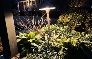 Walt's landscaping and lighting project