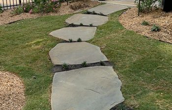 Walt's landscaping and lighting project