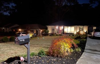 Walt's landscaping and lighting project