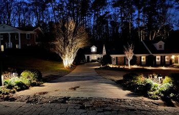 Walt's landscaping and lighting project