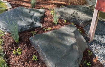 Walt's landscaping and lighting project