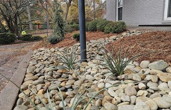 Walt's landscaping and lighting project