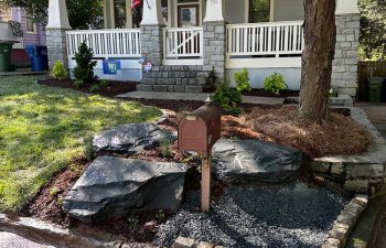 Walt's landscaping and lighting project