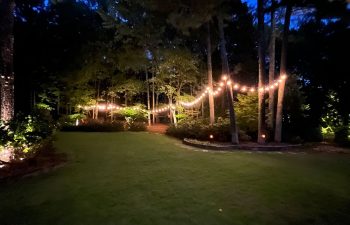 Walt's landscaping and lighting project