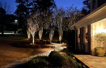 Walt's landscaping and lighting project