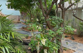 Walt's landscaping and lighting project