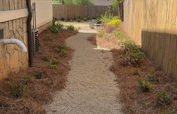 Walt's landscaping and lighting project