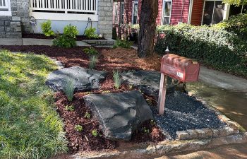 Walt's landscaping and lighting project