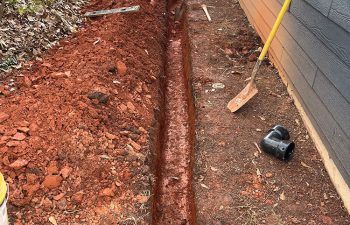 Walt's landscaping and lighting project