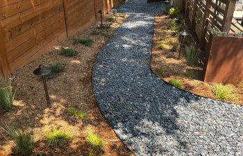 Walt's landscaping and lighting project