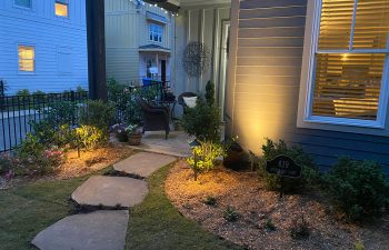 Walt's landscaping and lighting project
