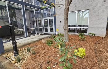 Walt's landscaping and lighting project