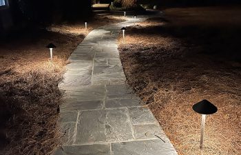 Walt's landscaping and lighting project