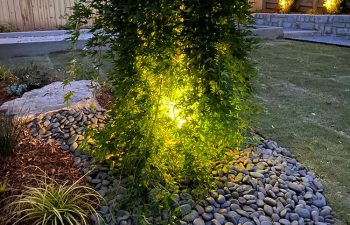 Walt's landscaping and lighting project