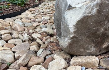 Walt's landscaping and lighting project