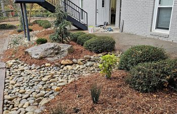 Walt's landscaping and lighting project