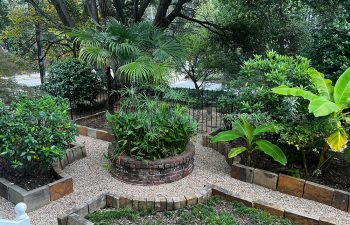 Walt's landscaping and lighting project