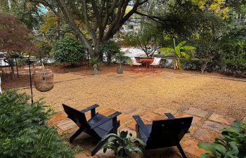 Walt's landscaping and lighting project