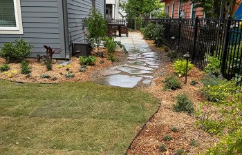 Walt's landscaping and lighting project