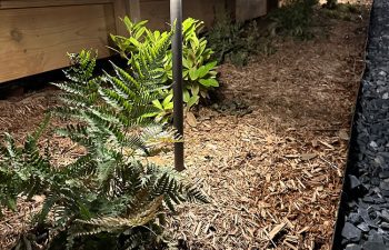 Walt's landscaping and lighting project