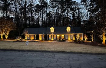 Walt's landscaping and lighting project