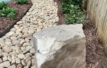 Walt's landscaping and lighting project