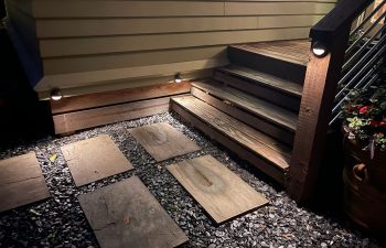 Walt's landscaping and lighting project