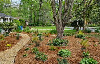 Walt's landscaping and lighting project