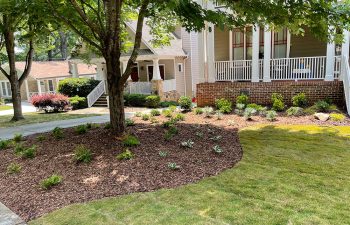 Walt's landscaping and lighting project