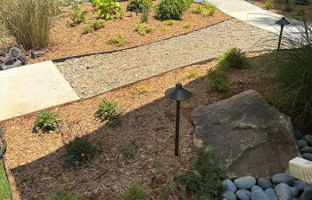 Walt's landscaping and lighting project