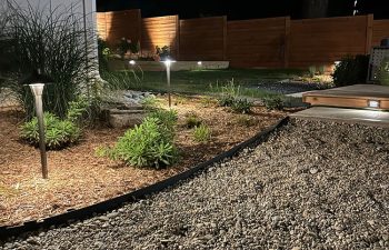 Walt's landscaping and lighting project