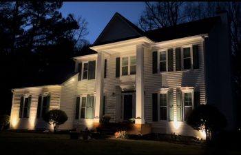 Walt's landscaping and lighting project