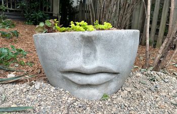 Walt's landscaping and lighting project