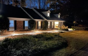 Walt's landscaping and lighting project