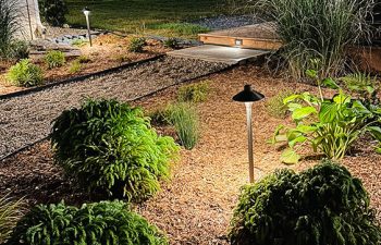 Walt's landscaping and lighting project