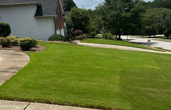 Walt's landscaping and lighting project